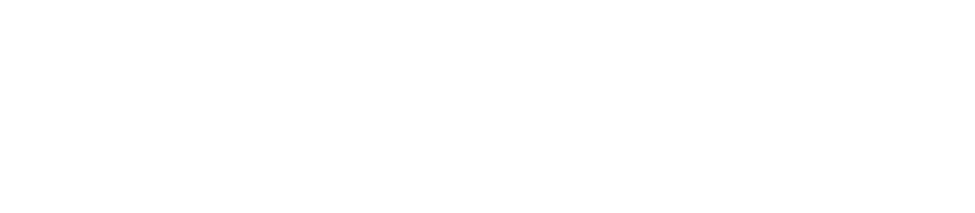 Sneakers BD